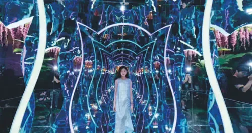 玫瑰隧道镜子迷宫