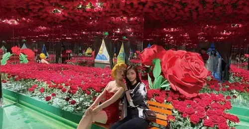 玫瑰花园镜子迷宫