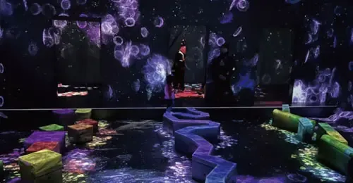 梦幻独木桥镜子迷宫