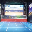 模拟互动网球