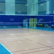 排球