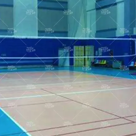 排球