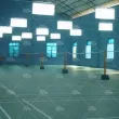 羽毛球