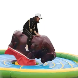 疯狂斗牛气模设备